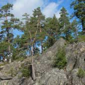ladoga0805_05