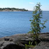 ladoga0805_13