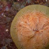 whitesea0805_18