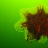 whitesea0805_20