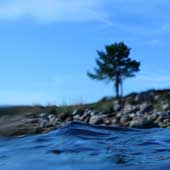 whitesea0805_21